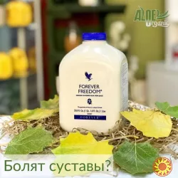 Откройте успешный интернет-магазин ЭКО продукции по возвратной франшизе!