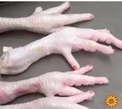 Машина для видалення кігтів на курячих лапках STvega Chicken Feet Nails Cutting Removing H150