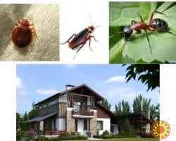 Обробка відкритих територій від комарів, кліщів, мурах та ін.