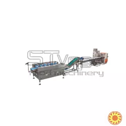 Лінія для зважування та пакування овочів, фруктів та зелені STvega Horizontal Fruit Vegetable Weighting Packing Line