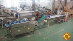 Лінія для зважування та пакування овочів, фруктів та зелені STvega Horizontal Fruit Vegetable Weighting Packing Line