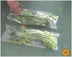 Лінія для зважування та пакування овочів, фруктів та зелені STvega Horizontal Fruit Vegetable Weighting Packing Line