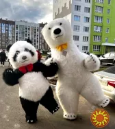 Медведь аниматор Киев на ваш праздник.