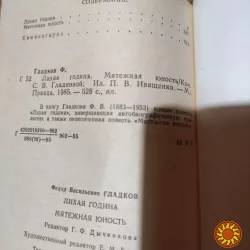 Федор Гладков."Лихая година.Мятежная юность"