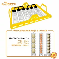 Инкубатор автоматический Теплуша Люкс 72 ТАВ Тэновый с Влагомером
