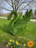 Студія «ОМІ»: створюємо унікальні топіарні скульптури із штучної трави