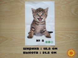 Наклейка котик номер 5 для ванны, детской комнаты