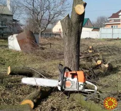 Профессиональные услуги по спилу деревьев любой сложности