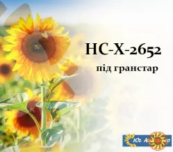 Насіння соняшника НС-Х 2652*