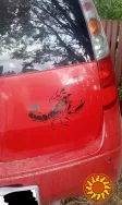 Наклейка на авто Скорпион Черный, Белая