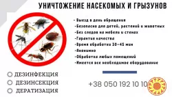 Потравить тараканов в Харькове.