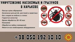 Услуги по уничтожению грызунов и насекомых в Харькове.
