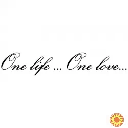 Наклейка One Life.One Love - одна жизнь одна любовь на авто Чёрная