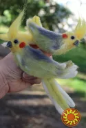 Валяна брош попугай Корелла клюв слева прикраса іграшка інтерєрна папуга валяний игрушка сувенир  подарок валяні іграшки авторська брош папугай корела