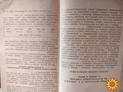 Н.Б.Гордеева"Изучение мастерства Л.Н.Толстого в школе".