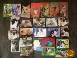Календарики кошки и собаки