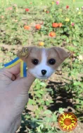 Брошь собака джекрассел патрон валяная игрушка хендмєйдинтерьерная пес войлочный подарок сувенир авторская брошь собачка ручной работы