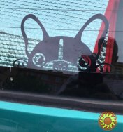 Наклейка на авто Собака ,Белая светоотражающая