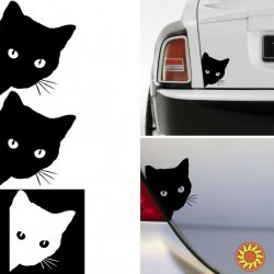 Наклейка на авто Кот на авто Белая,Чёрная