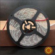 LED лента BIOM V2 SMD2835-60 12V IP65 Стандарт X-БЕЛАЯ 1м