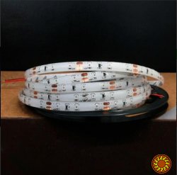 LED лента BIOM SMD2835-60 12V IP65 Стандарт СИНЯЯ 1м