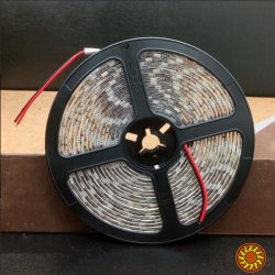 LED лента BIOM SMD5050-60 12V IP65 Стандарт Т-БЕЛАЯ 1м