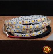 LED лента BIOM SMD5050-60 12V IP65 Стандарт Т-БЕЛАЯ 1м