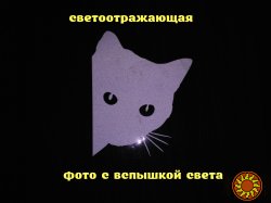 Наклейка на авто Кот Белая светоотражающая