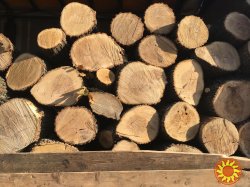 Продам в больших количествах дрова твердых пород (дуб, ясень, акация), метровые, чурка 30 см, рубленные. А также продам Дрова фруктовые