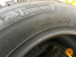 шины зимние 195/65R15 Taurus Winter (Сербия) Taurus Ice - НОВЫЕ