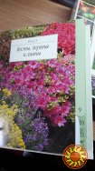 Альбом «Сад моей мечты» по цветоводству и огородничеству