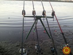 Trenoga fishing rods