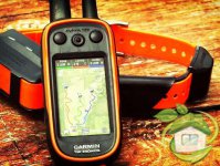 Garmin Alpha, Astro. Прошивка, разблокировка, карты. Удаленно.