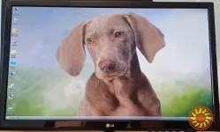 Монитор LG 23MP48D