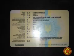 Техпаспорт Украина, 1+1, оригинал без отличий, госномера, двойник, водительские права