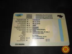 Техпаспорт Украина, 1+1, оригинал без отличий, госномера, двойник, водительские права