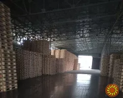 Піддони Поддоны Європалета оптові ціни від виробника