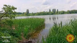Дачний будиночок на приватизованій ділянці біля села Трушки.