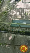 Тележка из супермаркета