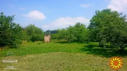 Дача на участке 16 сот.в Трушках.Рядом лес и речка.Молодой сад.