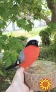 Снегирь іграшка валяна хендмєйд з шерсті пташка войлочная інтерєрная птица валяная сувенір подарунок іграшки ручної роботи сухое валяние