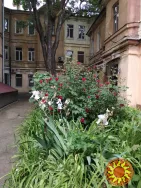 Сдам квартиру возле Моря