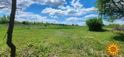 Продаж земельної ділянки під забудову в с. Чишки, 25 сот