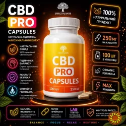 CBD капсулы 250 мг Premium 60 шт — натуральная поддержка нервной системы, снижение стресса и улучшение сна