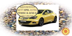 Діагностика та ремонт АКПП Opel Astra # Insignia TF80SC # TF81SG # AF40-6
