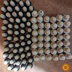 Пробки для бутылок