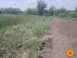 Продам будинок на березі Дніпра власний берег річки 25 соток землі