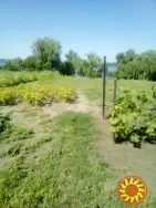 Продам будинок на березі Дніпра