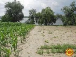 Продам будинок на березі Дніпра