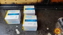 Диетическая добавка-БАДы Tendoactive Plus 20 стиков Bruno Farmaceutici